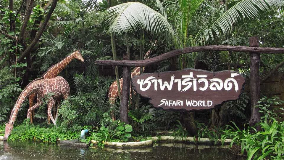Bangkok Safari World Ticket | Thailand