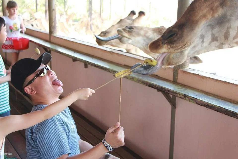 Bangkok Safari World Ticket | Thailand