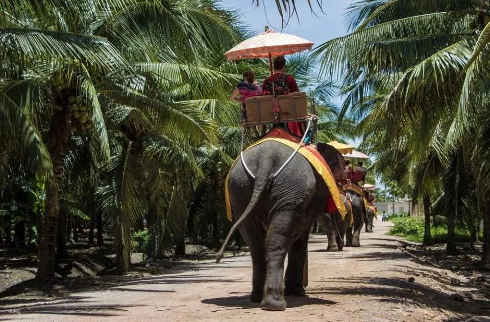 Bangkok, Thailand | Chang Puak Camp Damnoen Saduak Elephant Park | Tickets & Elephant Riding Experience & Feeding Interaction