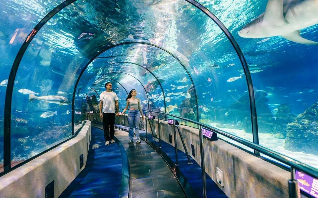 Barcelona Aquarium Skip-the-Line Tickets Image 1