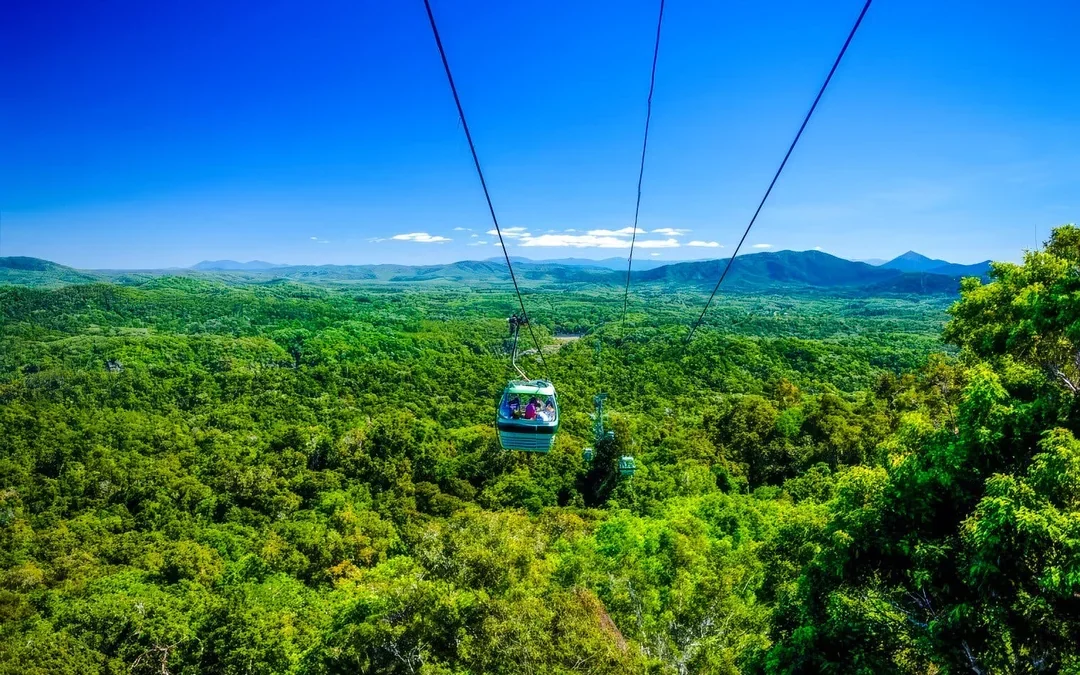Barron Falls, Cattana Wetlands, & Skyrail Rainforest Cableway Tour Image 1
