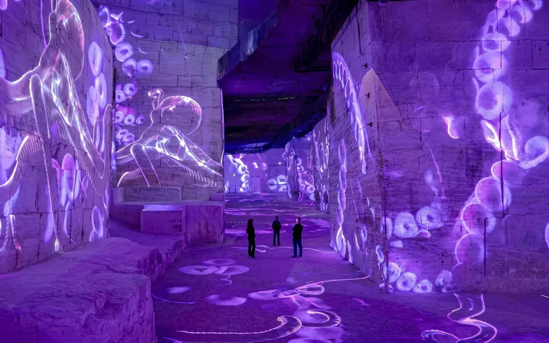 Bassins des lumières: Matisse & Frida Kahlo Immersive Experience Image 2
