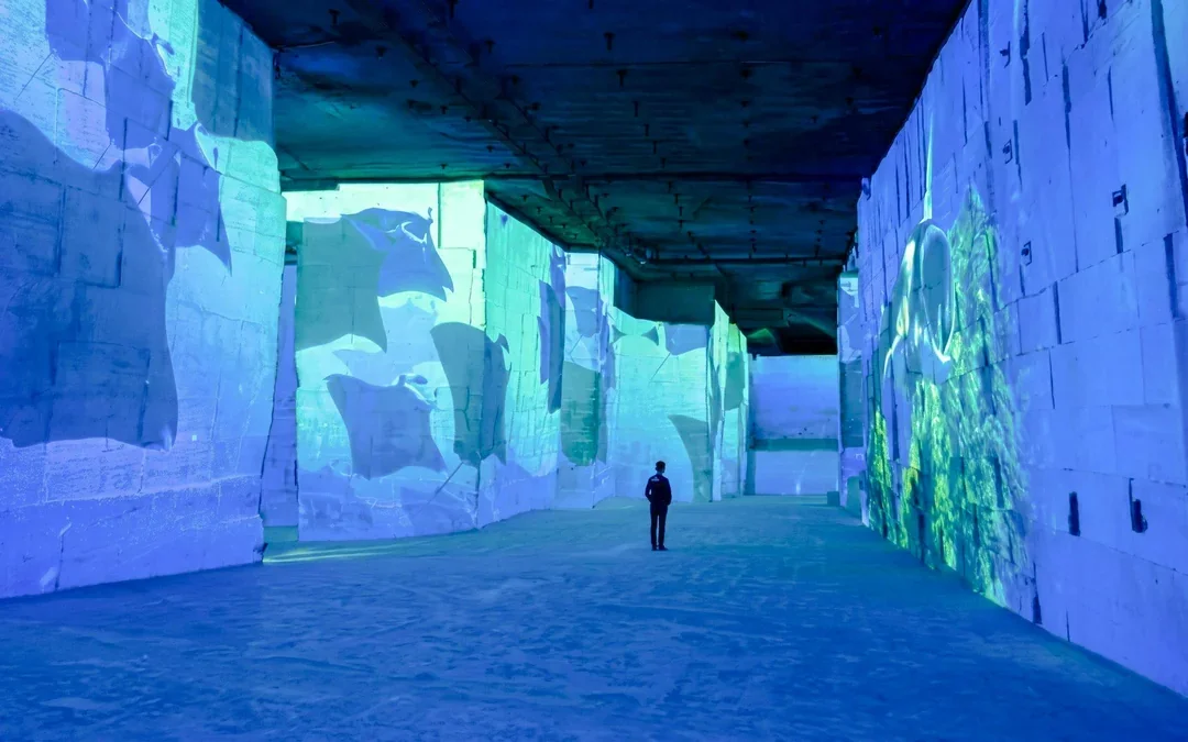 Bassins des lumières: Matisse & Frida Kahlo Immersive Experience Image 4