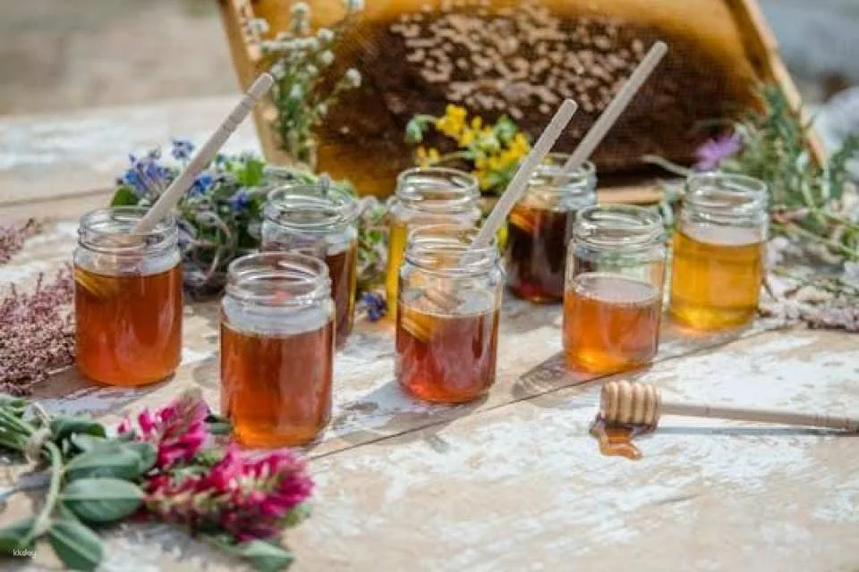 Beekeeping experience and honey-tasting in Menorca