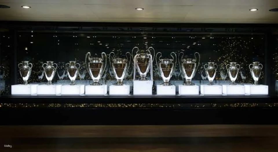 Bernabeu Stadium guided tour