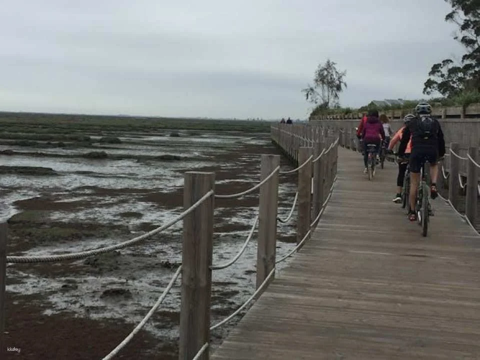 Best of Aveiro bike tour by GPS map