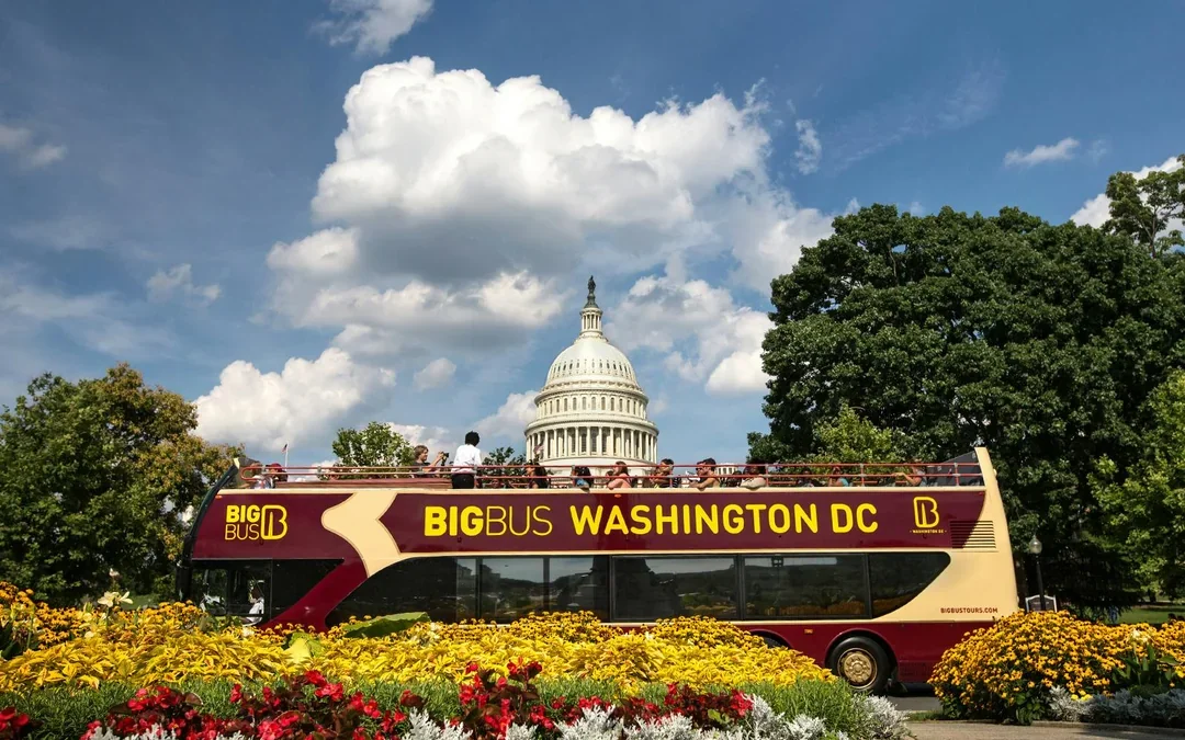Big Bus: Best of DC Hop-on Hop-off Bus + Sunset Tour Image 5