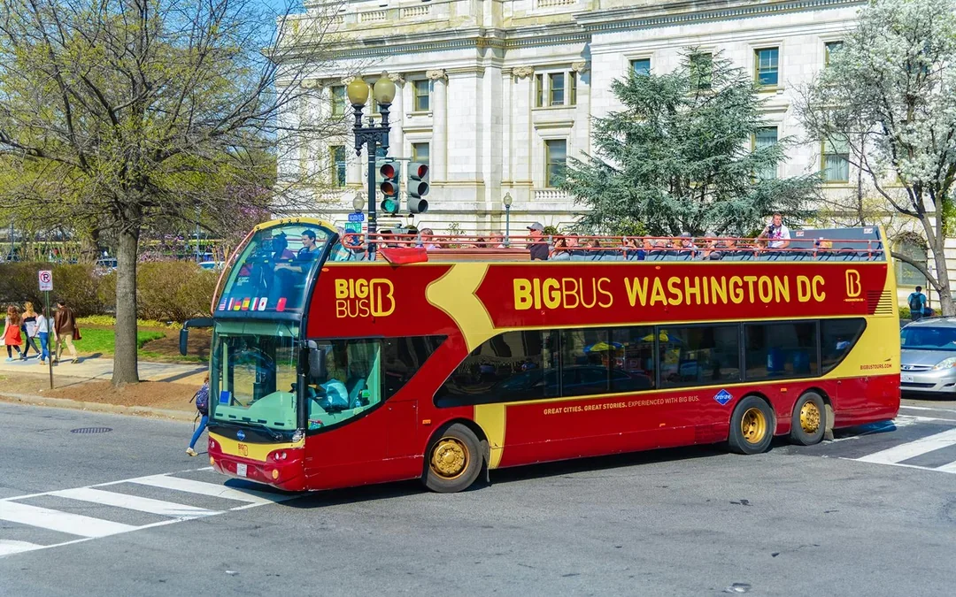 Big Bus: Washington DC Hop-on Hop-off Bus Tour with Optional Sunset Tour Image 5
