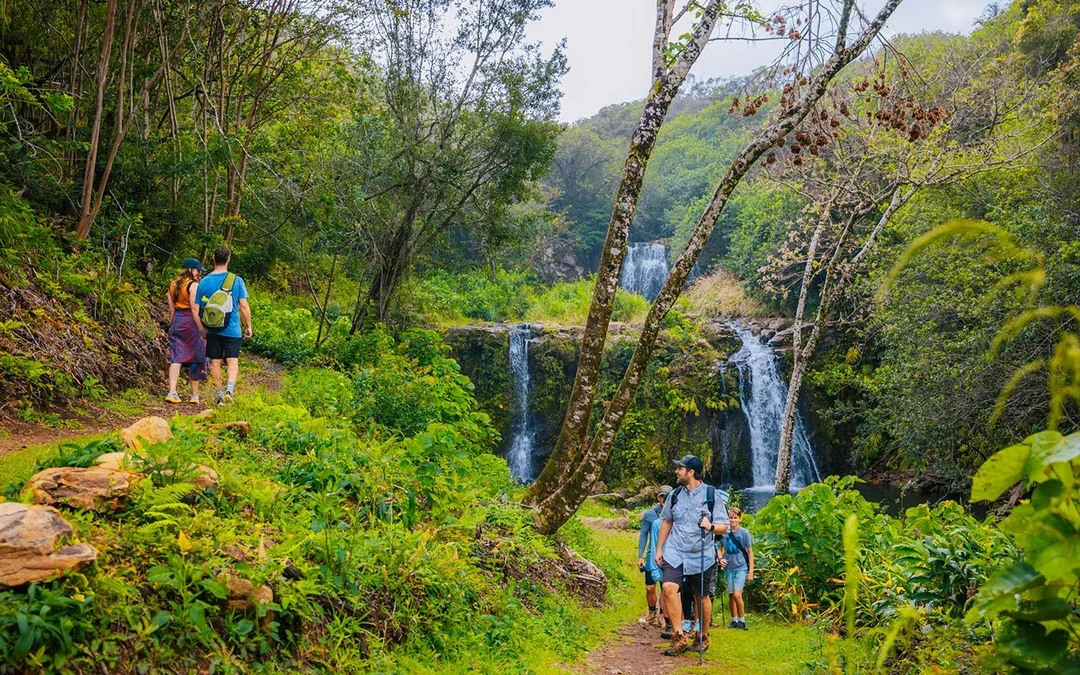 Big Island: Kohala Waterfalls Tour Image 2