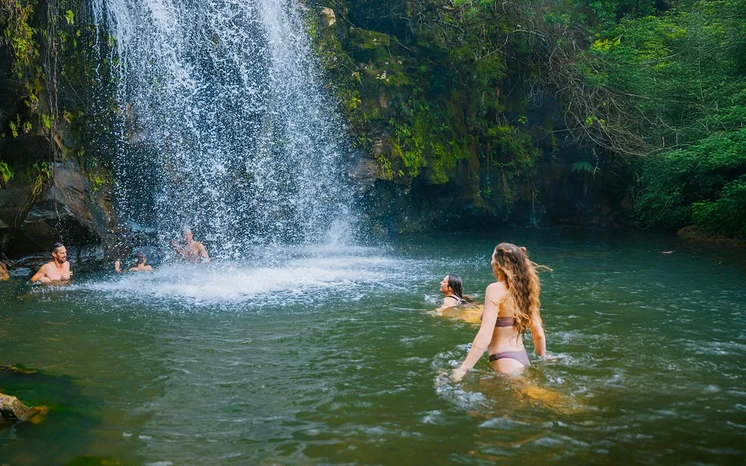 Big Island: Kohala Waterfalls Tour Image 3