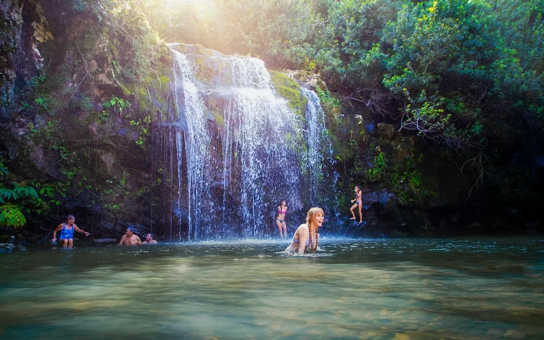 Big Island: Kohala Waterfalls Tour Image 7