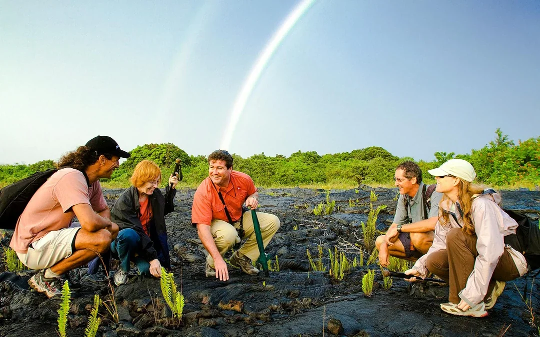 Big Island: Volcano, Chocolate & Waterfall Tour Image 2