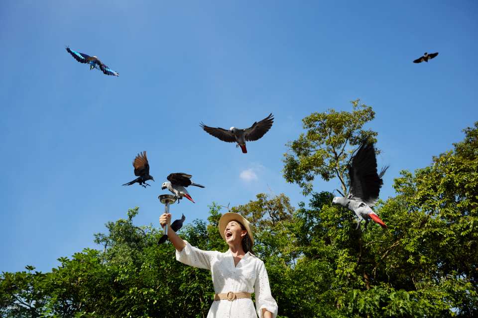 Bird Paradise Tickets | Mandai Wildlife Reserve, Singapore