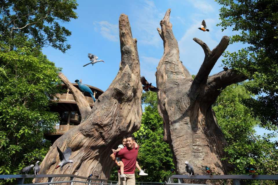 Bird Paradise Tickets | Mandai Wildlife Reserve, Singapore