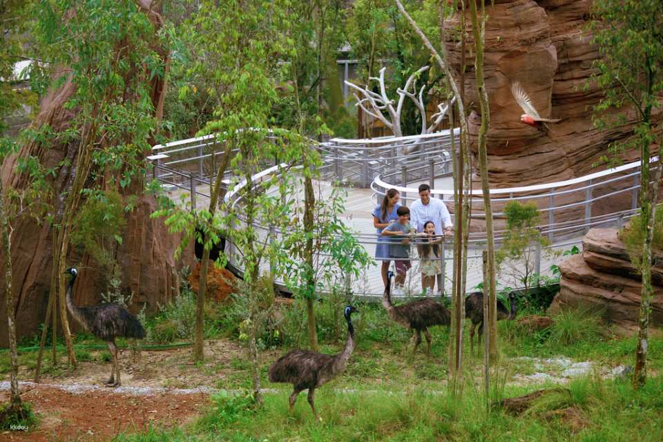 Bird Paradise Tickets | Mandai Wildlife Reserve, Singapore