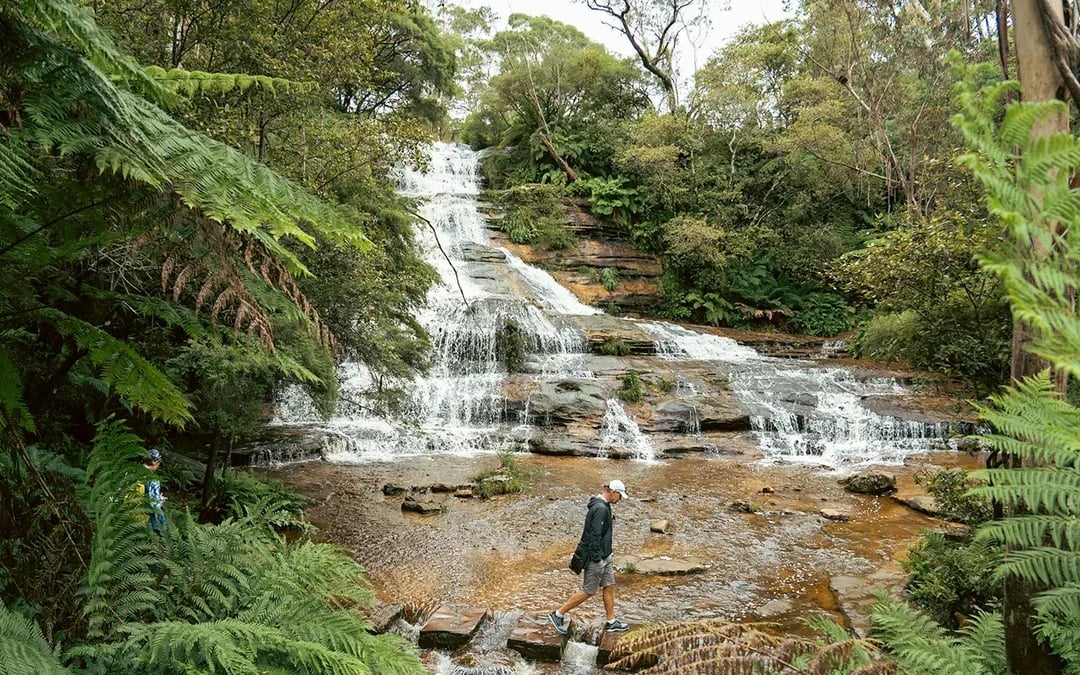 Blue Mountains Adventure Tour: Scenic World, Sydney Zoo, Koala Photo & Harbour Ferry Return Image 7