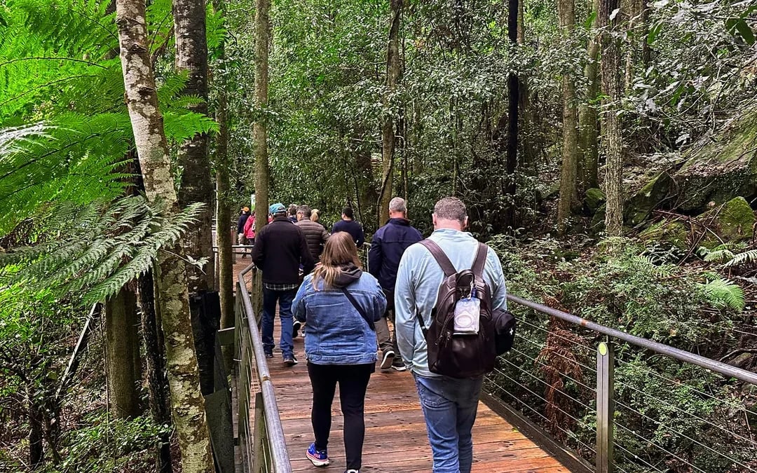 Blue Mountains Adventure Tour: Scenic World, Sydney Zoo, Koala Photo & Harbour Ferry Return Image 9