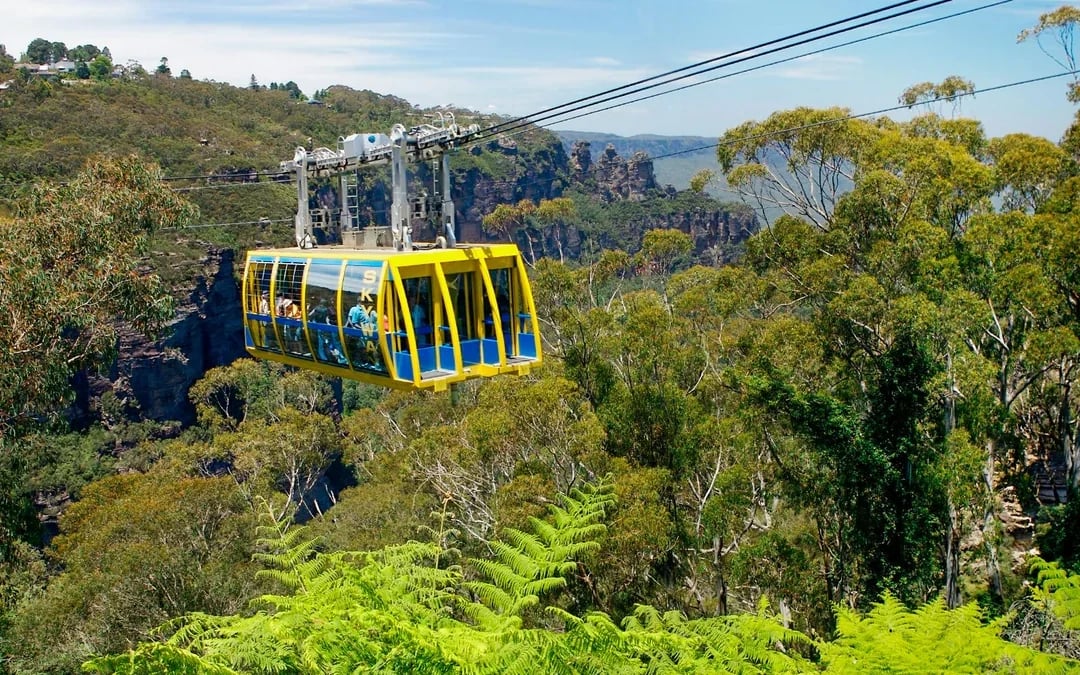Blue Mountains Adventure Tour: Scenic World, Sydney Zoo, Koala Photo & Harbour Ferry Return Image 10
