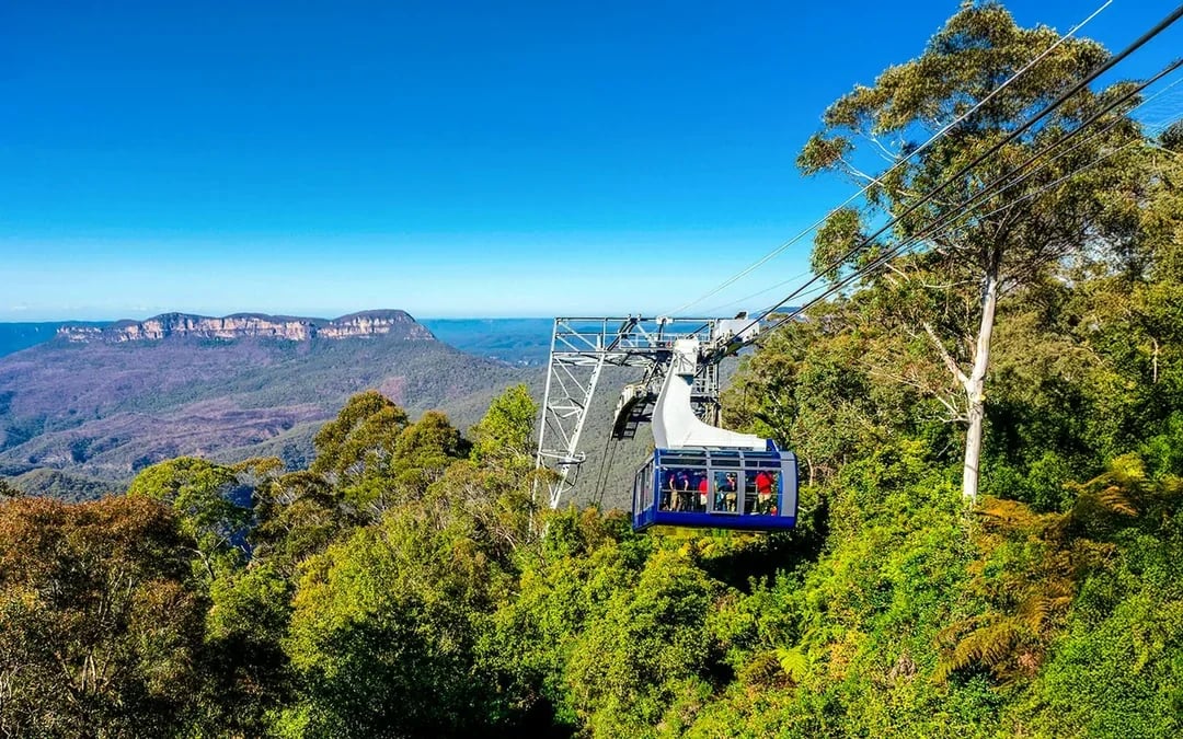 Blue Mountains Beat-the-Crowd Tour: Scenic World, Sydney Zoo & Harbour Ferry Return Image 4