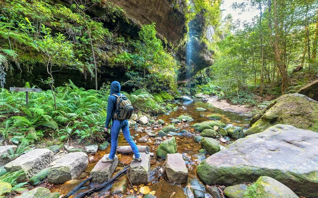 Blue Mountains Cultural Adventure: Wentworth Falls Bushwalks and Aboriginal Sites Image 7