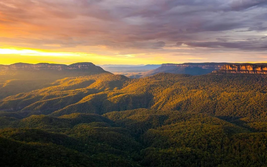 Blue Mountains Cultural Adventure: Wentworth Falls Bushwalks and Aboriginal Sites Image 10
