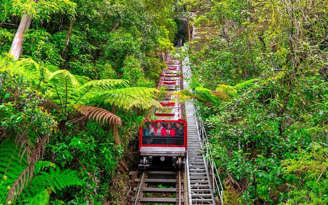 Blue Mountains Hop-On Hop-Off Explorer Bus + Scenic World Tickets Image 5