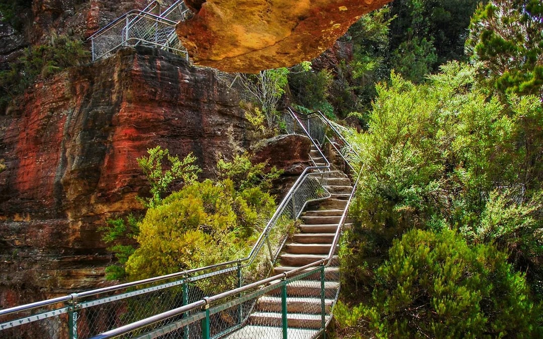 Blue Mountains Off the Beaten Path Guided Bushwalks, Secret Lookouts & BBQ Lunch Image 11