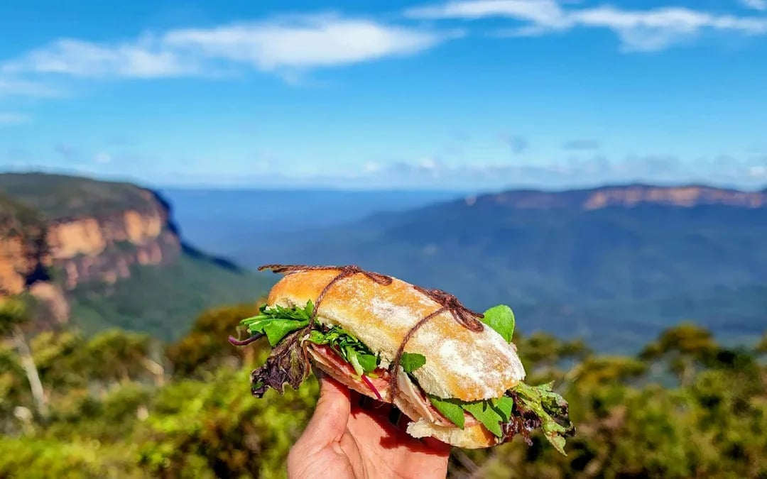 Blue Mountains Off the Beaten Path Guided Bushwalks, Secret Lookouts & BBQ Lunch Image 6