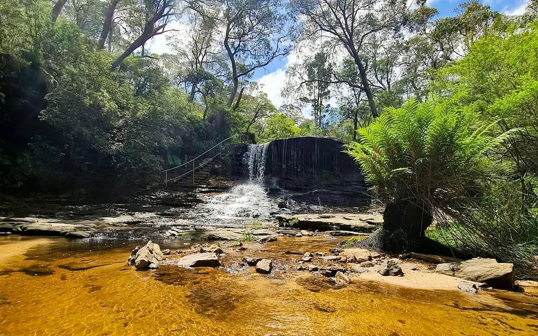 Blue Mountains Off the Beaten Path Guided Bushwalks, Secret Lookouts & BBQ Lunch Image 10