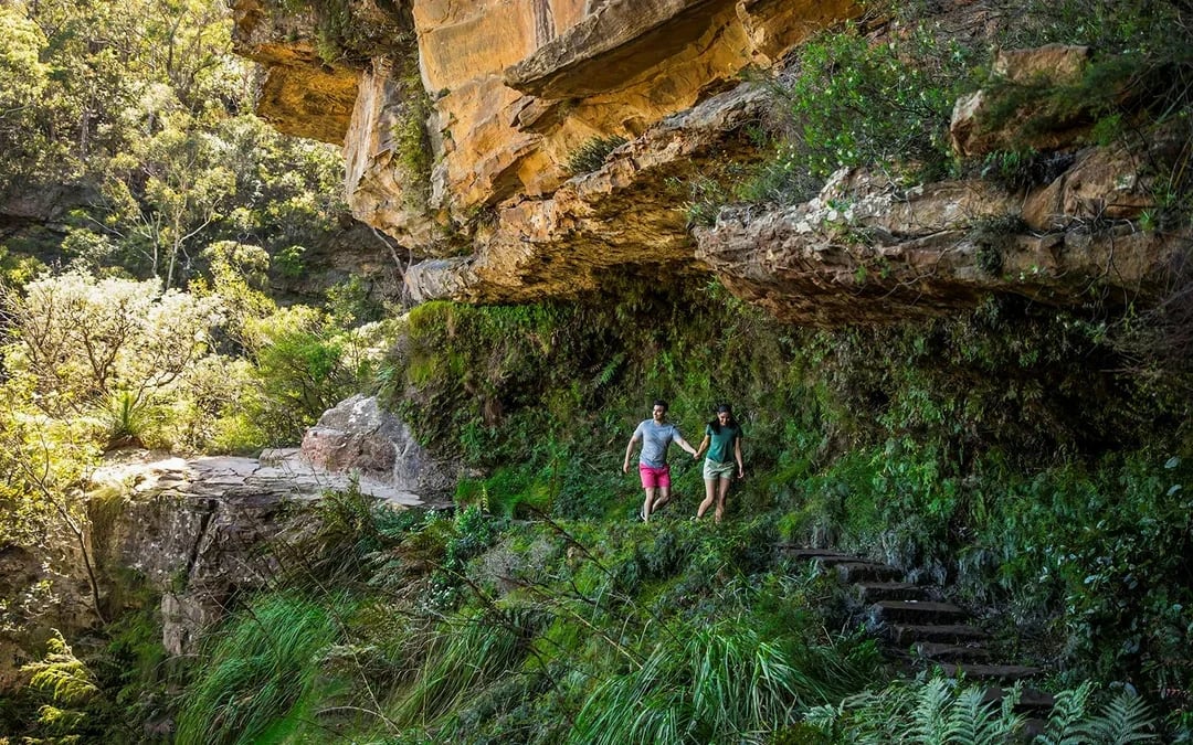 Blue Mountains Sunset Tour: Wentworth Falls Bushwalks, Wildlife & Lookouts Image 6