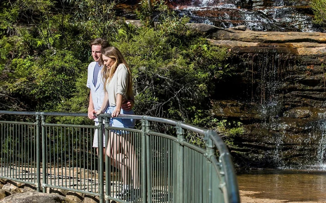 Blue Mountains Sunset Tour: Wentworth Falls Bushwalks, Wildlife & Lookouts Image 8