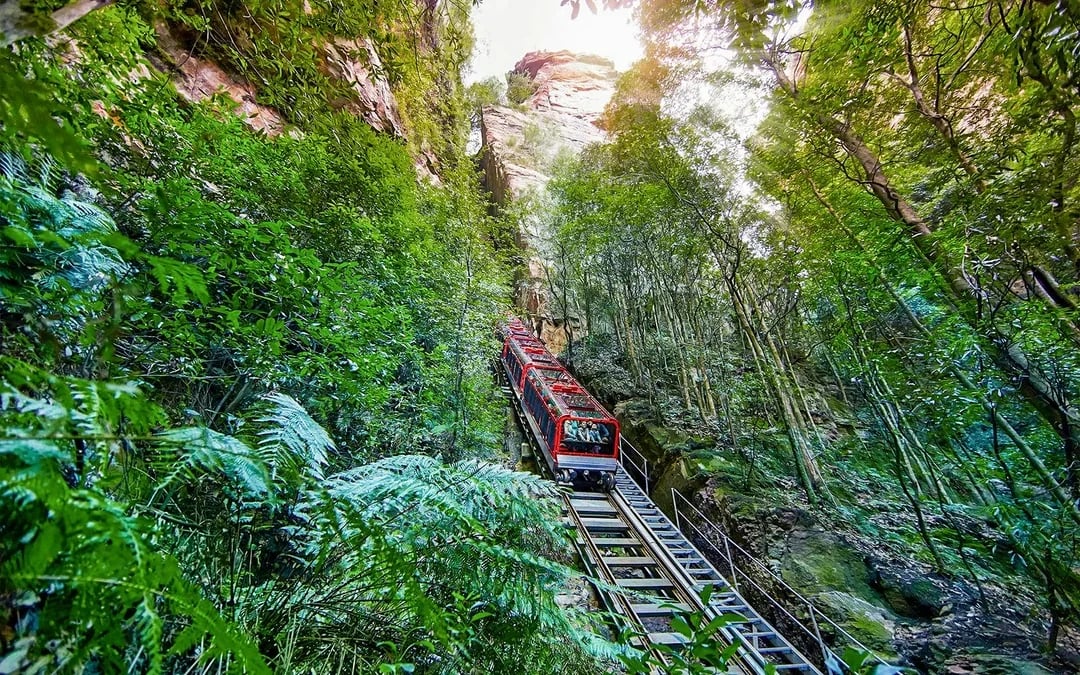 Blue Mountains Tour: Lunch, Scenic World, Sydney Zoo or Featherdale Wildlife Park, & Harbour Ferry Return Image 7