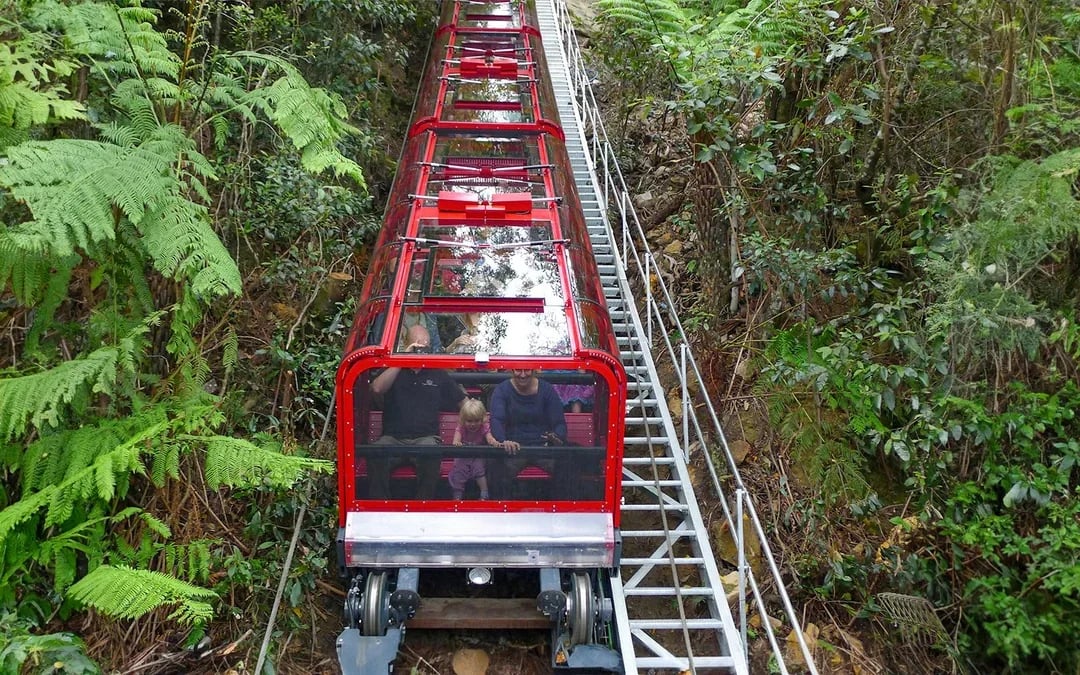 Blue Mountains Tour: Scenic World, Featherdale Wildlife Park & Harbour Ferry Return Image 11