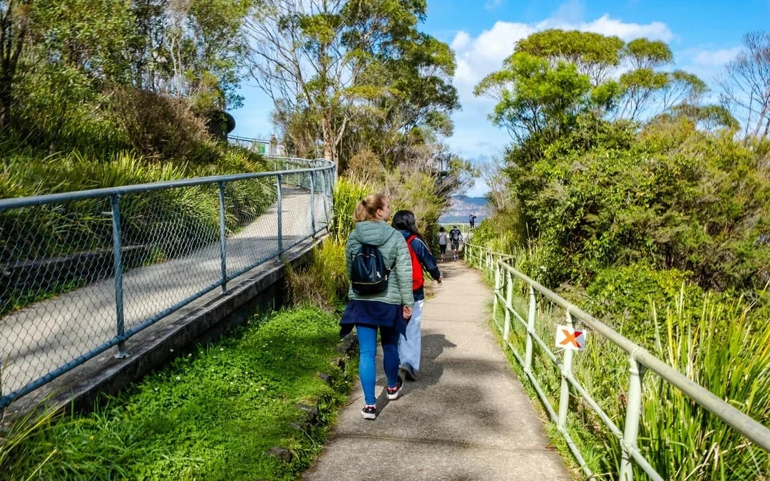 Blue Mountains Tour: Scenic World, Featherdale Wildlife Park & Harbour Ferry Return Image 6