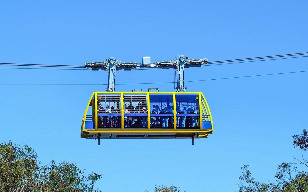 Blue Mountains Tour: Scenic World, Featherdale Wildlife Park & Harbour Ferry Return Image 10