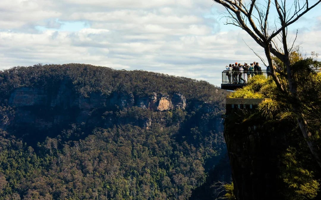 Blue Mountains Tour with Scenic World & Sydney Zoo or Featherdale Wildlife Park Image 11