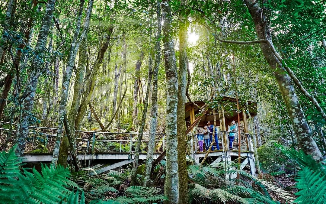 Blue Mountains Tour with Scenic World & Sydney Zoo or Featherdale Wildlife Park Image 3