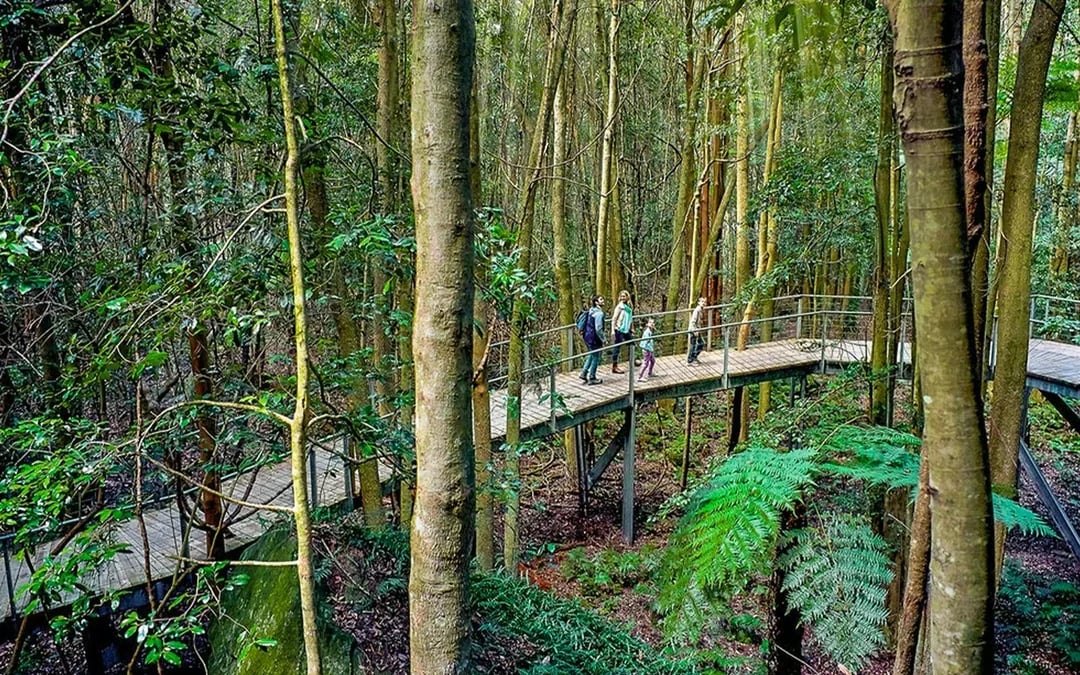 Blue Mountains Tour with Scenic World, Sydney Zoo & Koala Photo Image 10