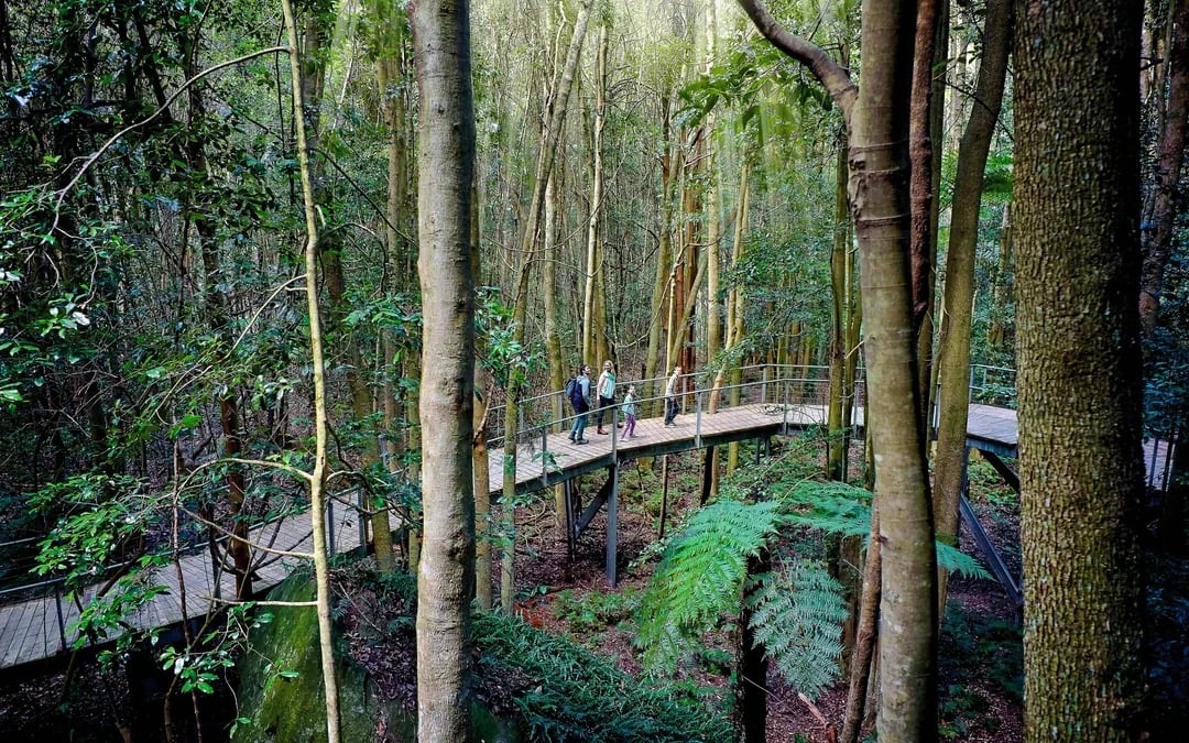 Blue Mountains Zig Zag Train with Scenic World  & Harbour Cruise Tour Image 6