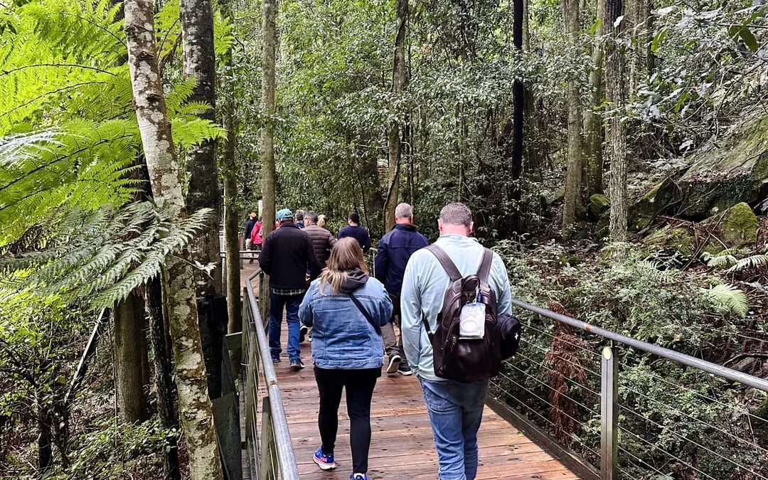 Blue Mountains Zig Zag Train with Scenic World  & Harbour Cruise Tour Image 8
