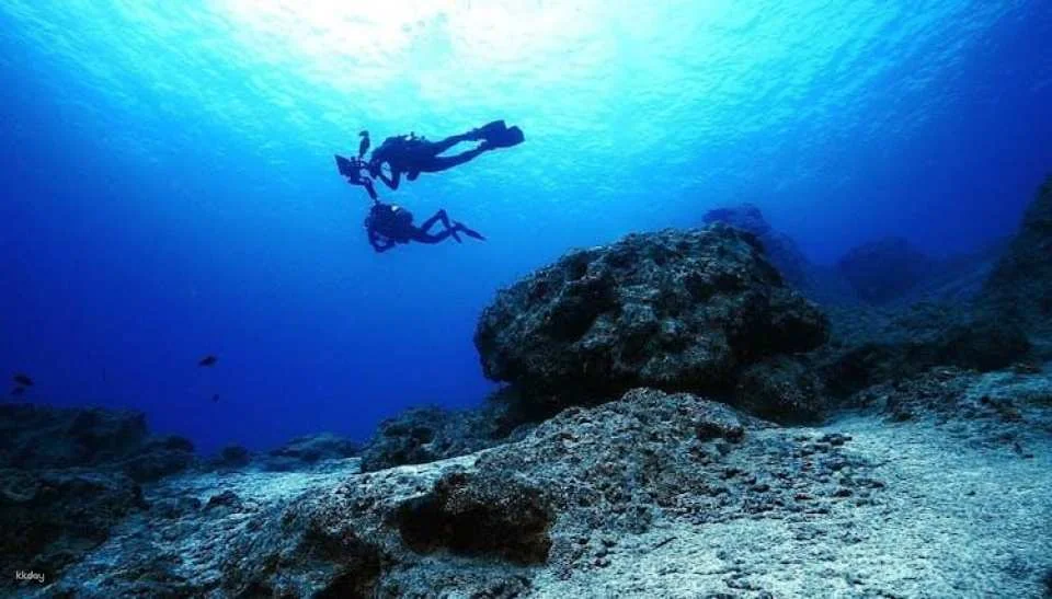 Bodrum scuba diving