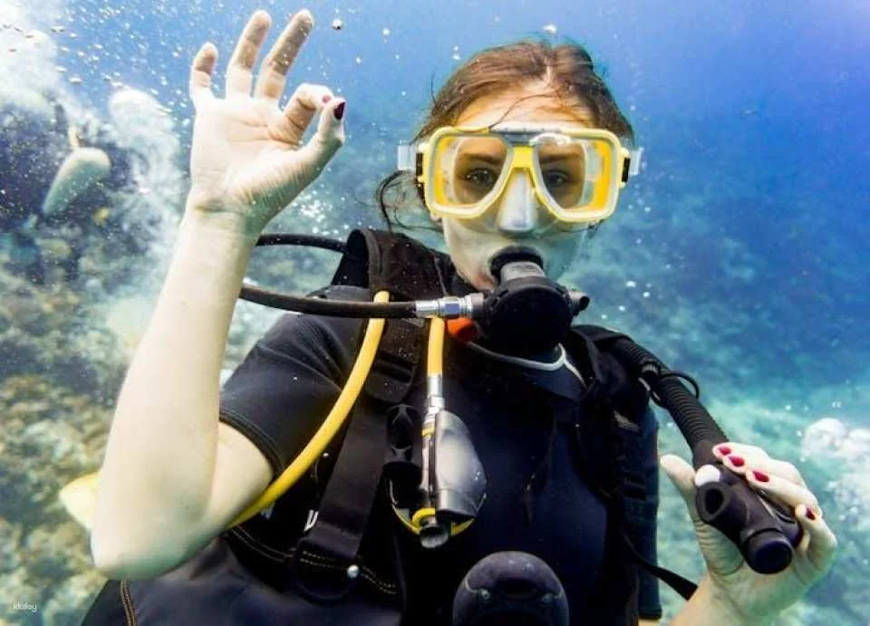 Bodrum scuba diving