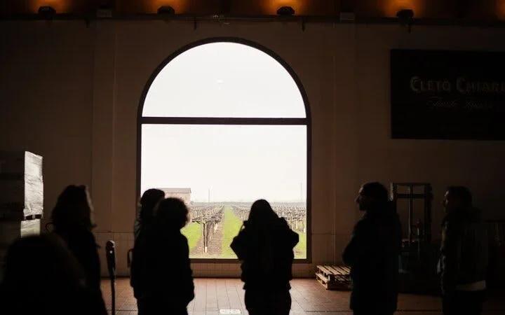 Bologna Food Valley: Factory tasting, Wines & traditional Lu Image 1