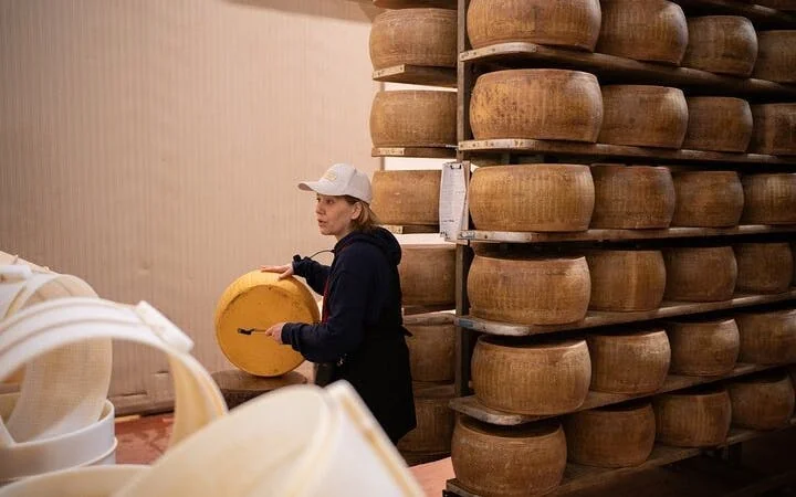 Bologna Food Valley: Factory tasting, Wines & traditional Lu Image 4