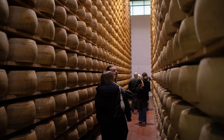 Bologna Food Valley: Factory tasting, Wines & traditional Lu Image 5