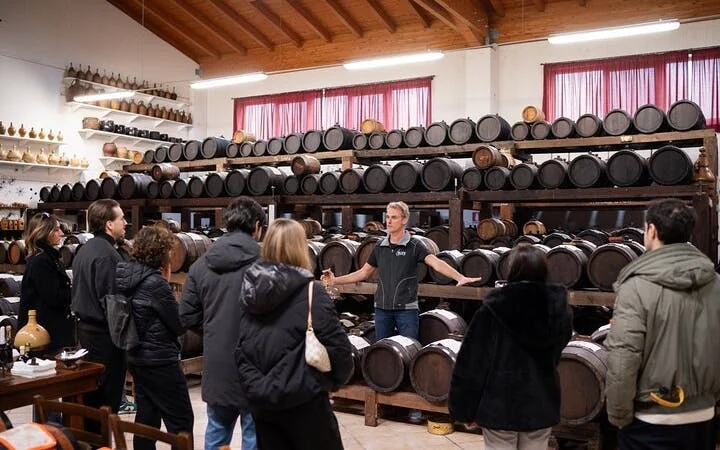 Bologna Food Valley: Factory tasting, Wines & traditional Lu Image 9