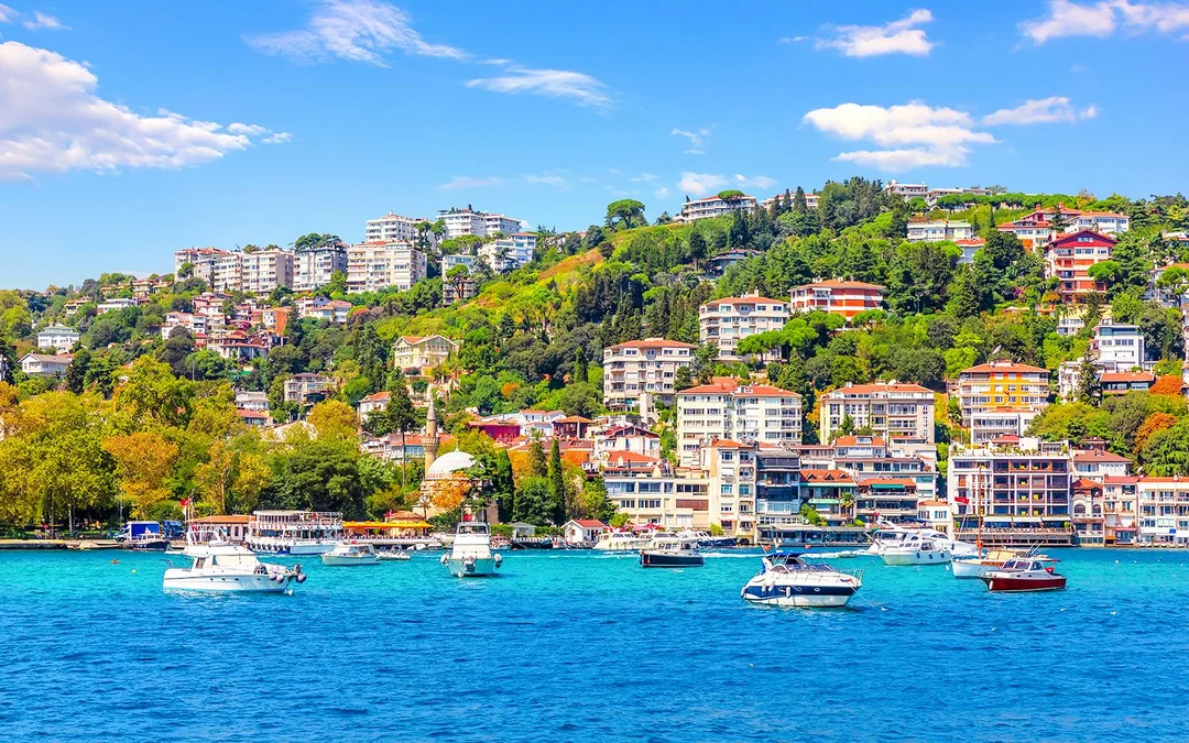 Bosphorus Cruise with Breakfast at Le Vapeur Magique Image 8