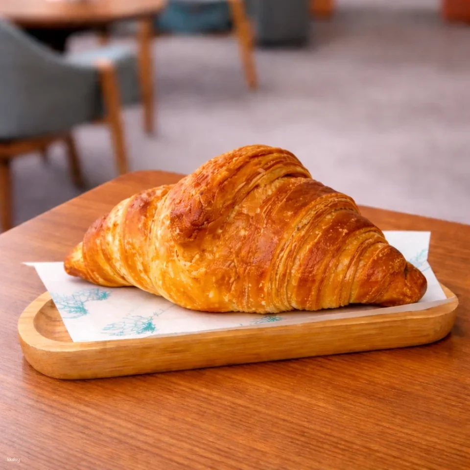 Breakfast with Cats in Bangkok Asok | Morning Cat Cafe Experience (08:00-12:00 noon)