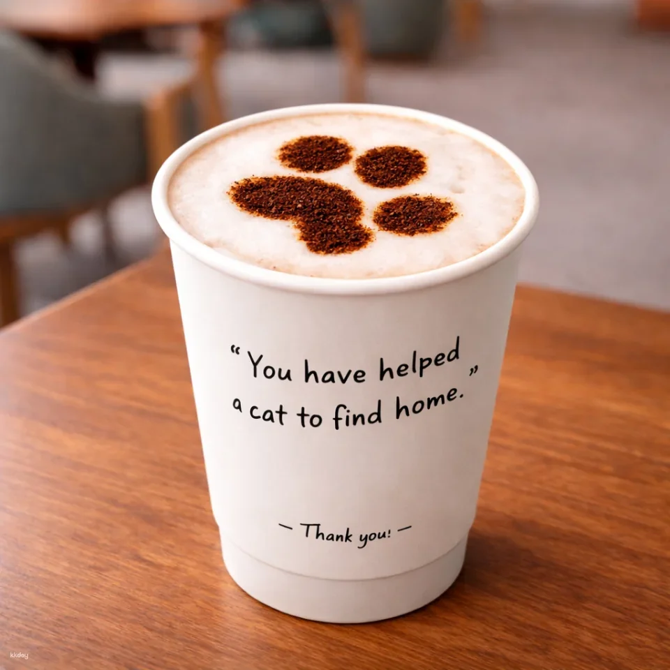Breakfast with Cats in Bangkok Asok | Morning Cat Cafe Experience (08:00-12:00 noon)