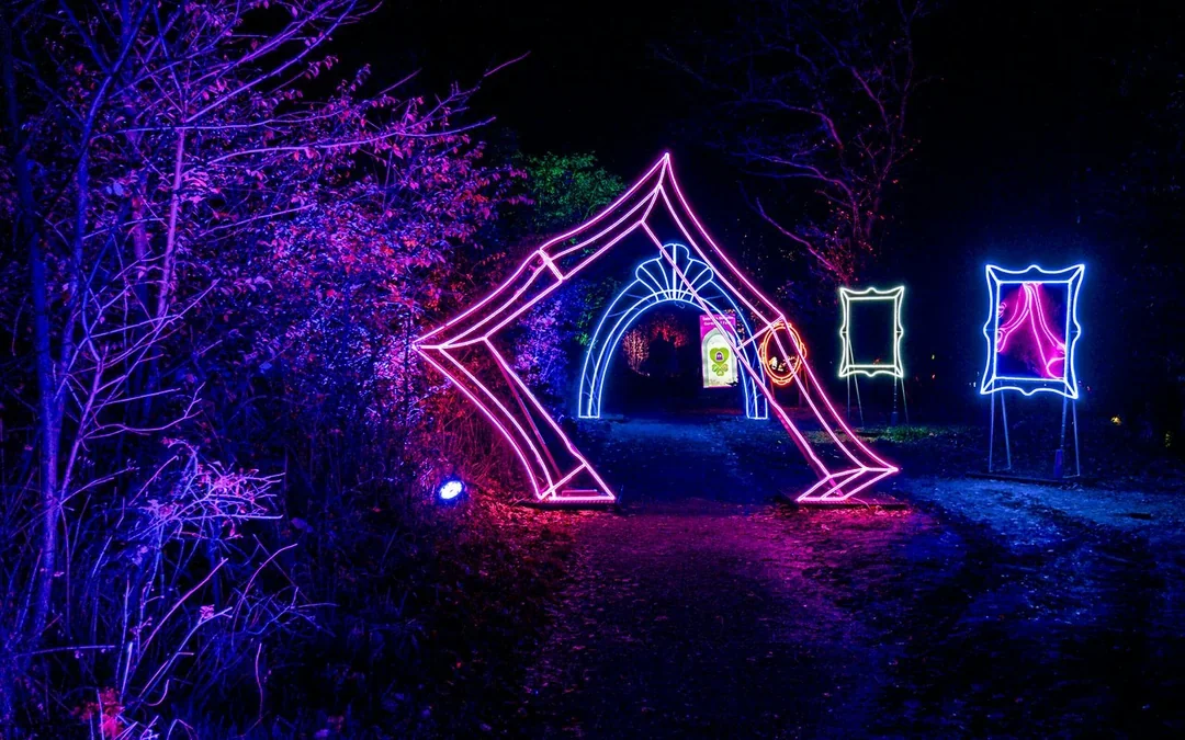 Budapest: Lumina Light Park Wonderworld Entry Tickets Image 2